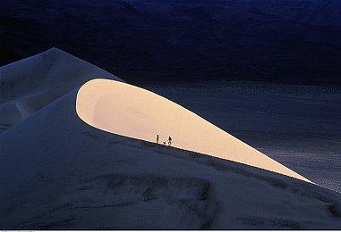 《战地6》封杀人机刷分 团队称已提高正常对局经验